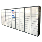 Delivery Parcel Locker With Touch Screen / Last Mile Solution Intelligent Locker 240V