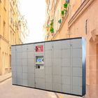 Customize Color Furniture Safe Luggage Station Lockers , Arab Single Door Lockers