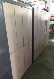 Technical Support Laundry Service Locker With Electronic Lock Control System and Dry Cleaning Locker Systems