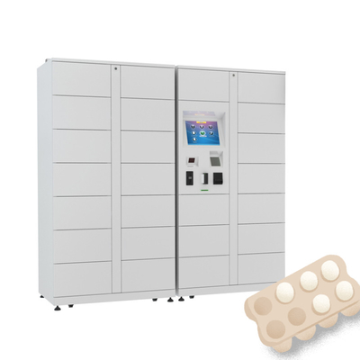 Winnsen Refrigerated Locker Smart Food Eggs Vandal Proof