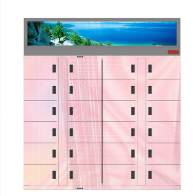 Food Market Refrigerated Frozen Locker Electronic Storage Fresh Flowers Lockers