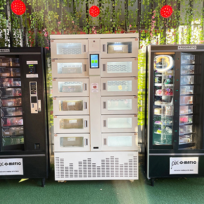 Winnsen Refrigerated Parcel Lockers Customization With Remote