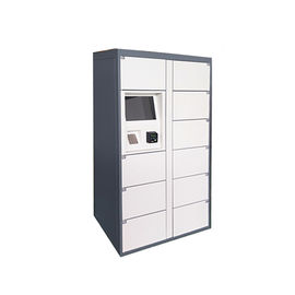Storage Parcel Delivery Lockers for School Community with Touch Screen and API Interfaces