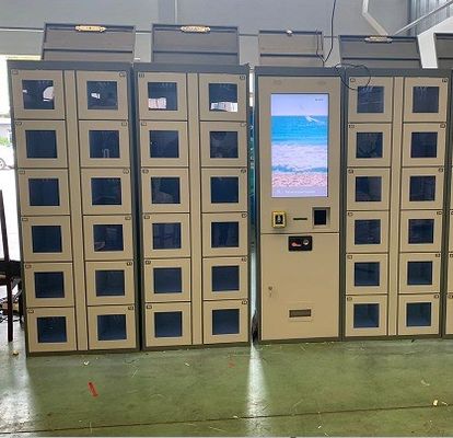 24/7 Intelligent Remote Control Electronic Vending Lockers High Performance Packed Eggs