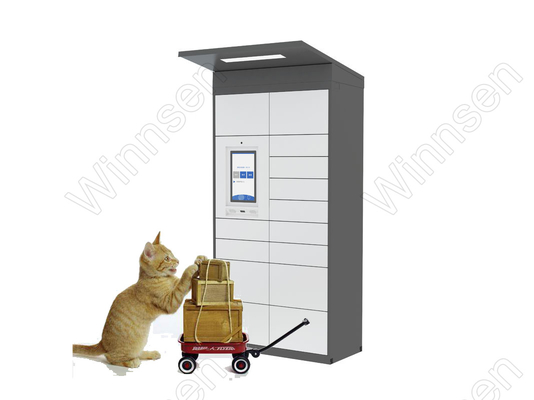 Rfid Indoor Android System Parcel Delivery Lockers