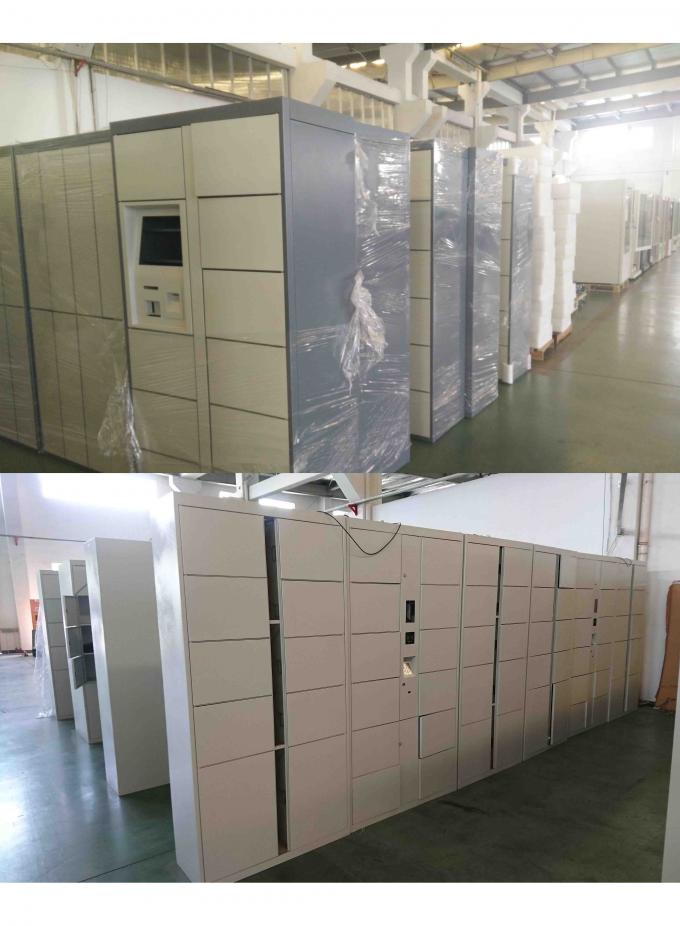 Safe Electronic Laundry Locker / Smart Software Control Rental Dry Cleaning Lockers