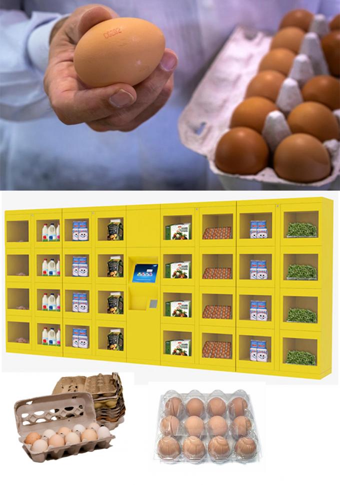 60 Empty Green Plastic Vending Easter Eggs - 2.25 Inch, Perfect For Egg Hunts & Prizes 4 thumbnail image
