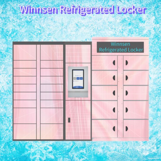 Indoor Meat Refrigerated Locker 240V Smart Icecream Lockers